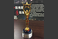 2015中国经济创新人物奖